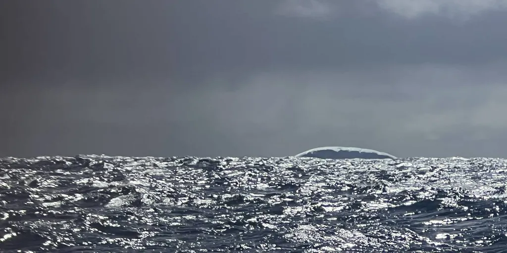 Iceberg en pleine mer