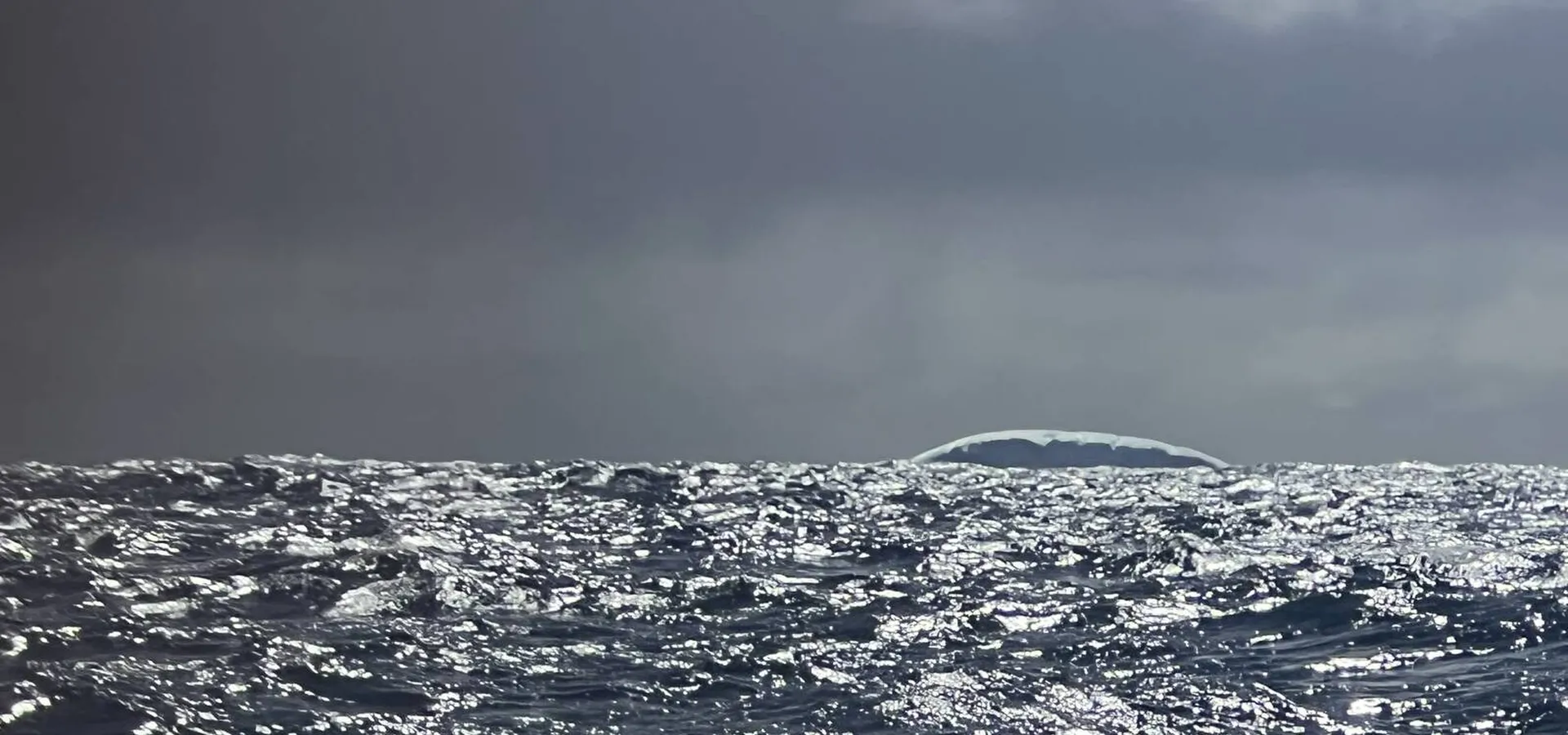 Iceberg en pleine mer