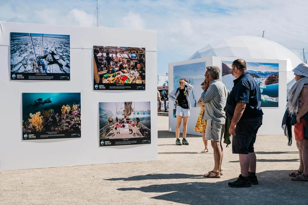 Exposition photo sur les ours polaires, à la rencontre de ces géants des glaces par Florian Ledoux