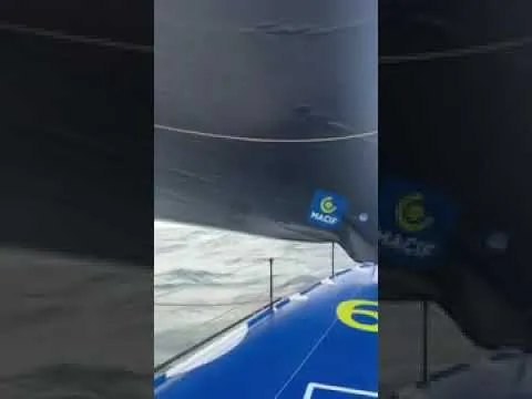 Entre l'Irlande et l'Ecosse avec un petit passage de dauphins 🐬