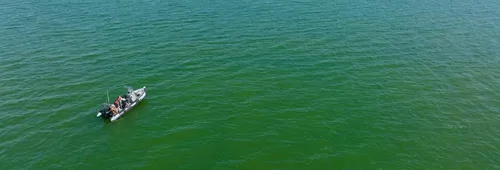 Phénomène d'eau colorée verte en baie de Vilaine - Prélèvements et échantillonnage d'eau depuis le zodiac