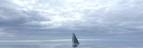 colman in the calm 