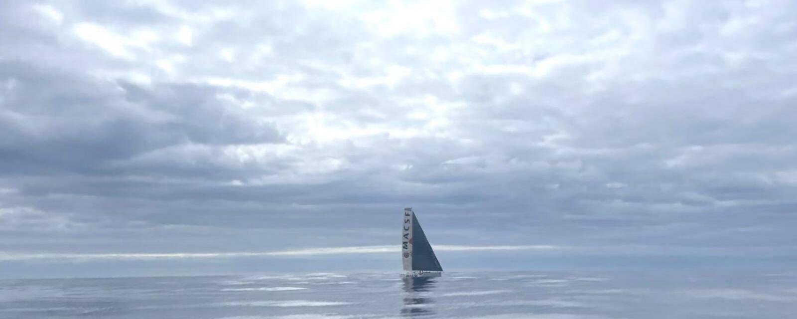 colman in the calm