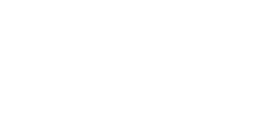 Virtual Regatta
